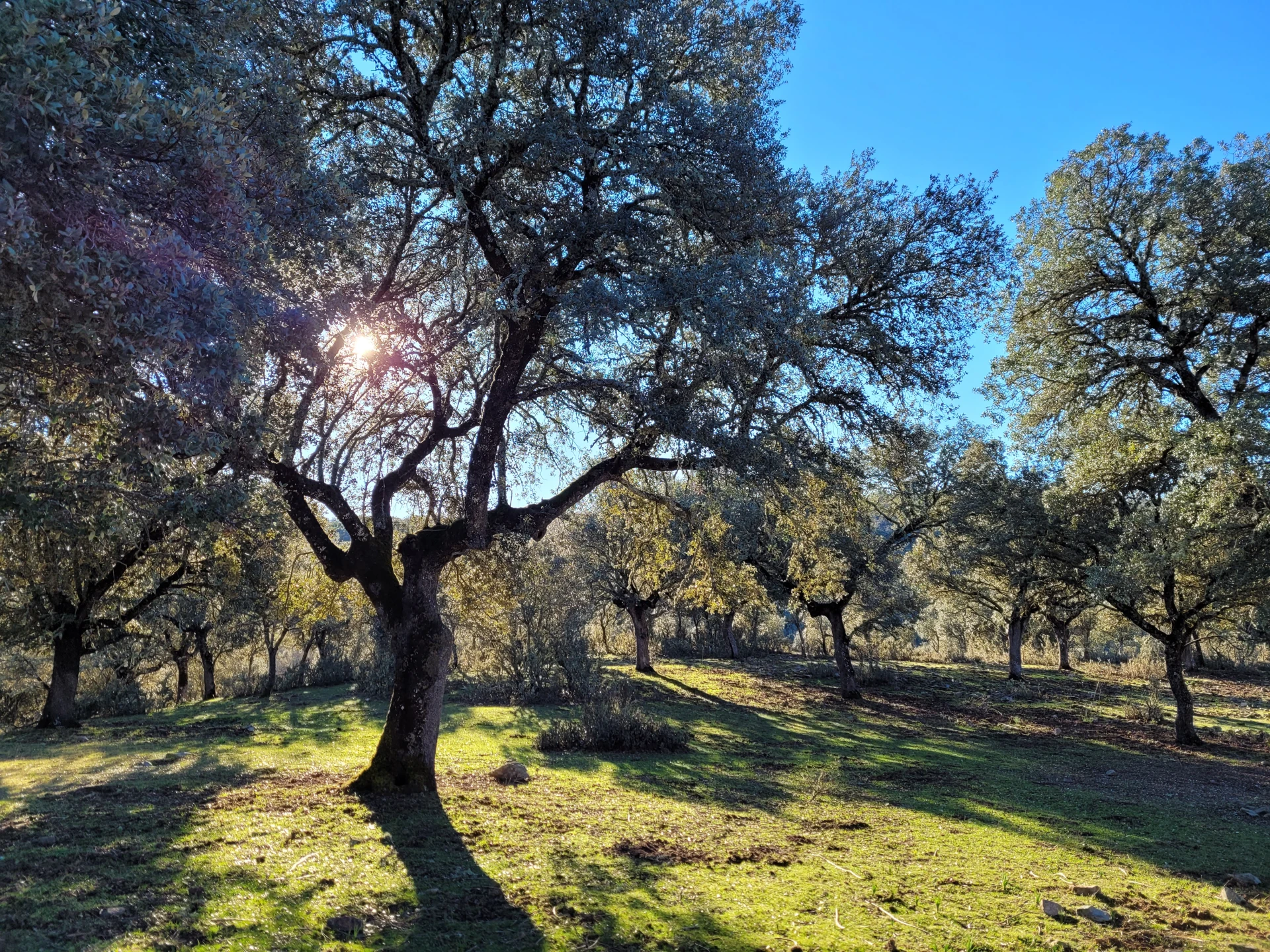 funciones-ecosistemicas-se-mantienen