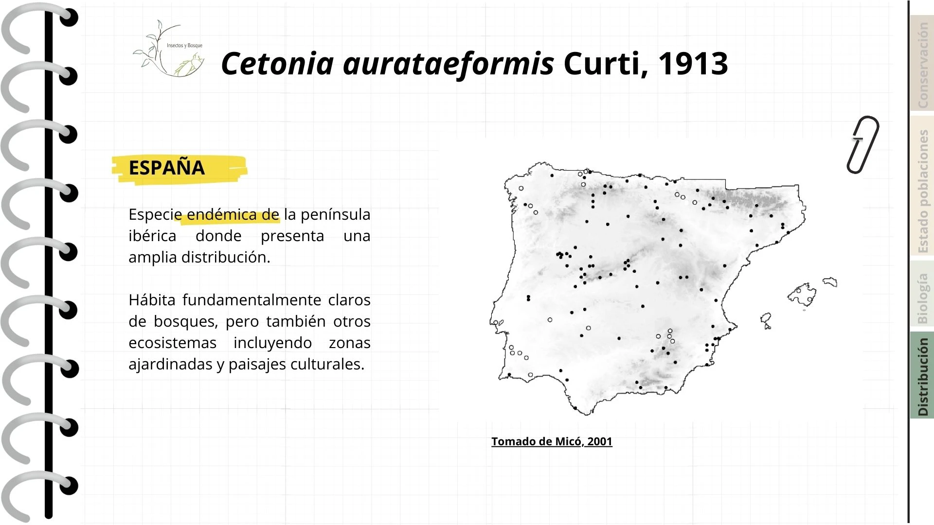 Ficha Cetonia aurateaformis