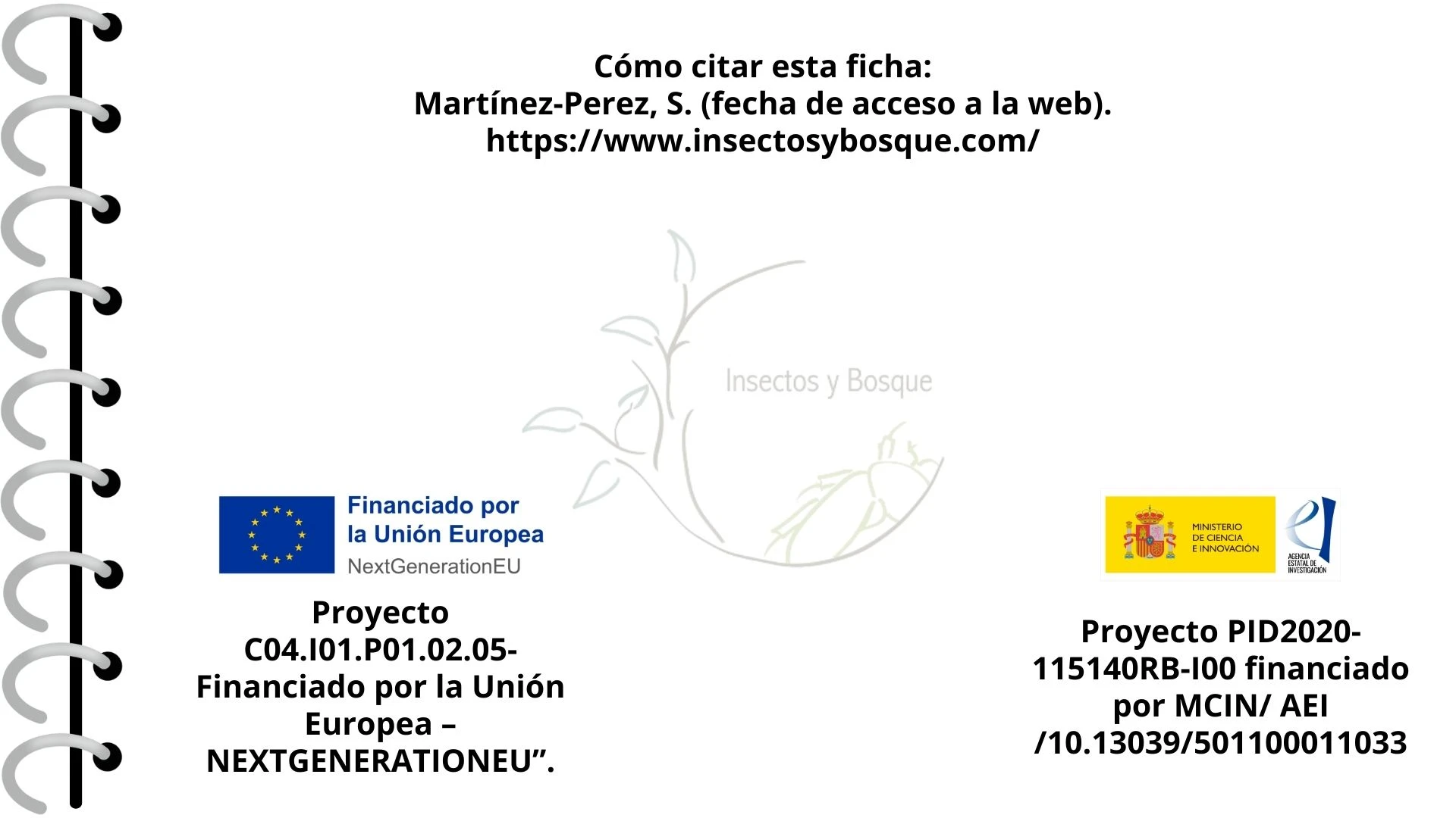 Ficha Cetonia aurateaformis