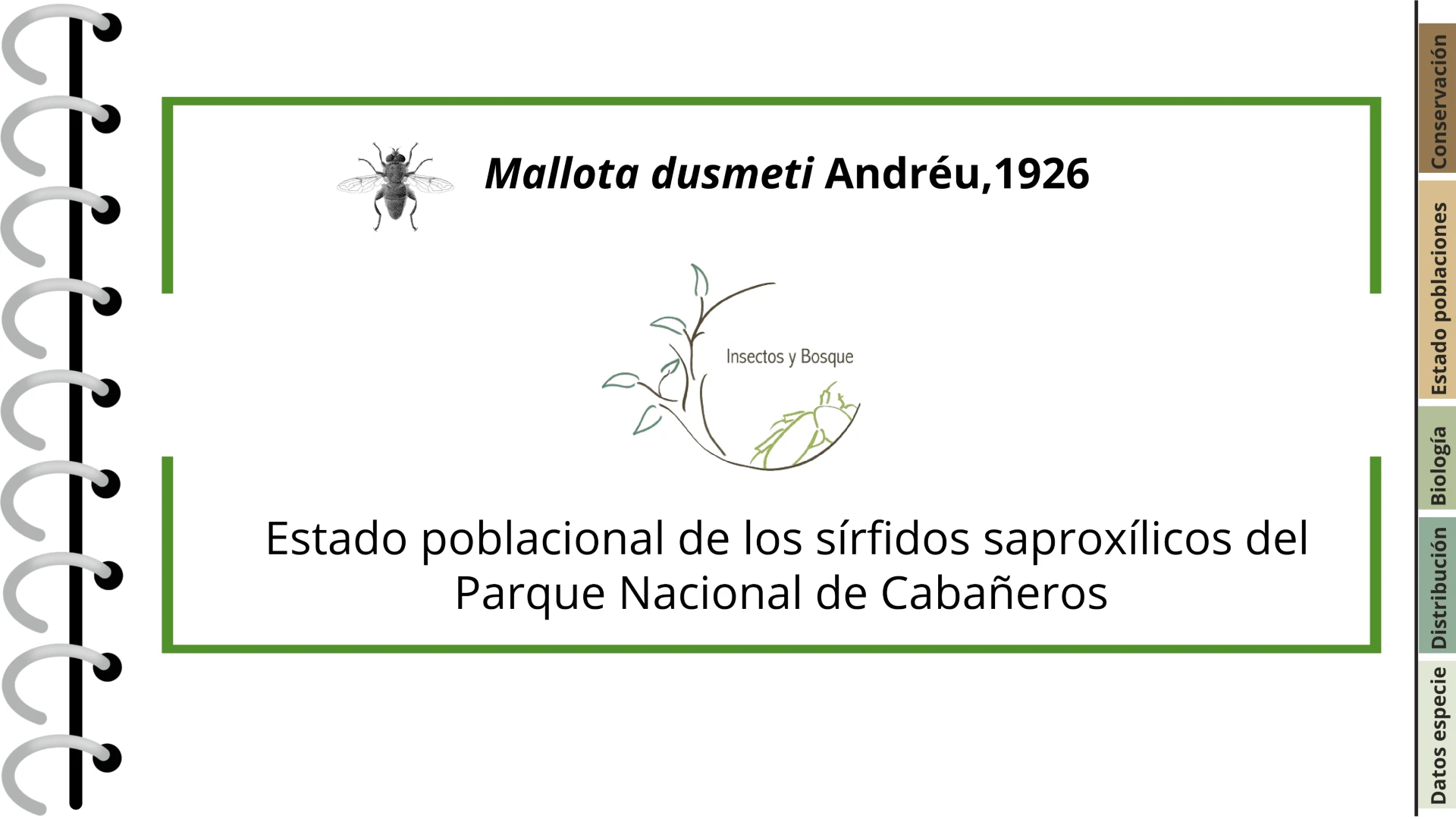Ficha Cetonia aurateaformis