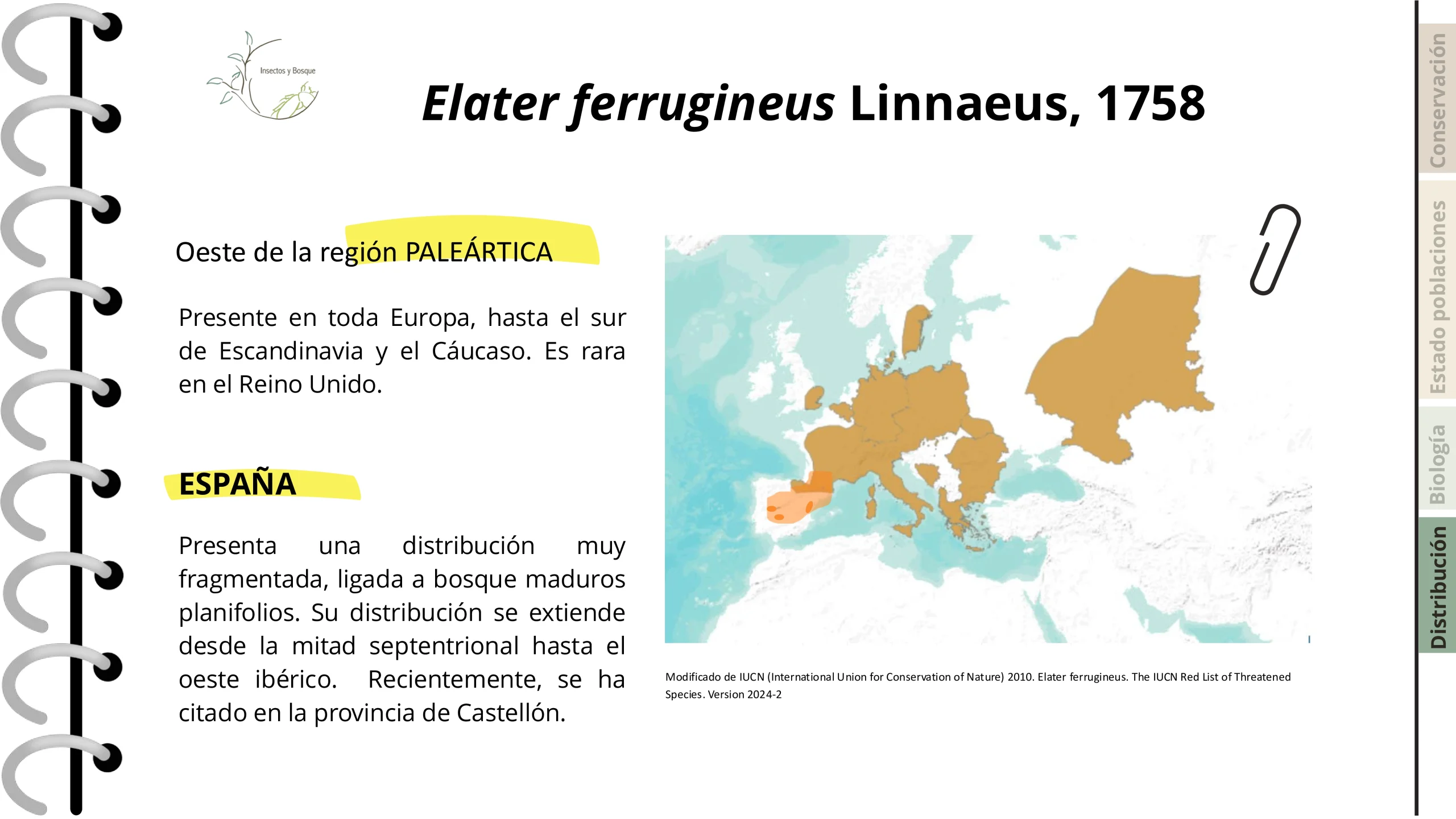Ficha Cetonia aurateaformis