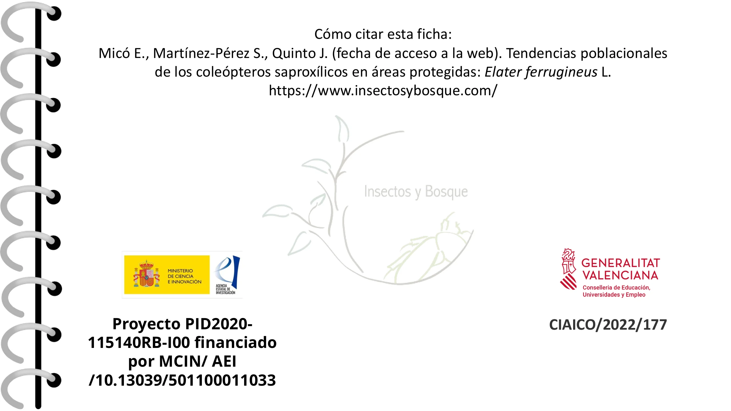 Ficha Cetonia aurateaformis